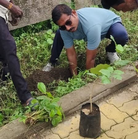 Team members planting saplings during community plantation work